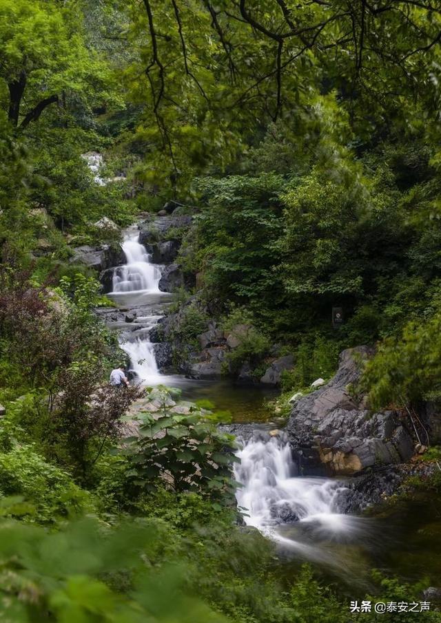 掘地挖宝